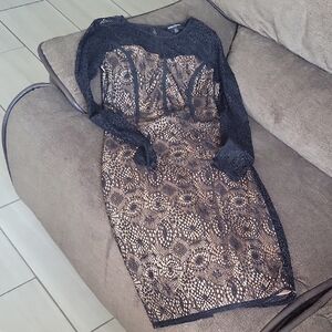 Jealous Tomato Black and Tan Lace Dress